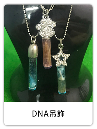 寵物善終紀念品DNA吊飾