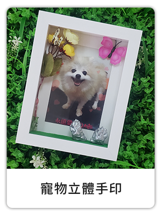 寵物善終紀念品寵物立體手印